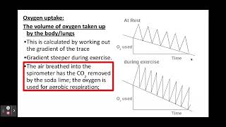 311 Exchange Surfaces e Spirometer [upl. by Ahsenot]