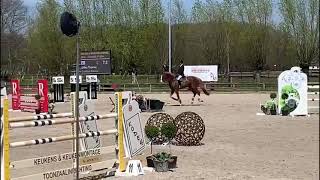 Ermitage kalone Catoki x Kannan 1m35 groentenjumping [upl. by Ovid22]