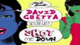 Lyrics  David Guetta  Shot Me Down ft Skylar Grey [upl. by Alahcim]