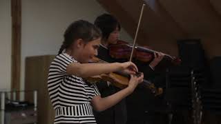 Wieniawski Caprice A minor  Negri Violin Program [upl. by Wenoa]