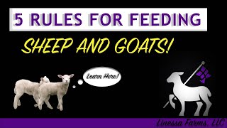 5 Basic Rules for Feeding Sheep and Goats [upl. by Seen625]