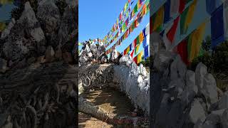 Buddha temple in dehradun dehradun travel vlog dailyvlog short videoguide [upl. by Alyakim]