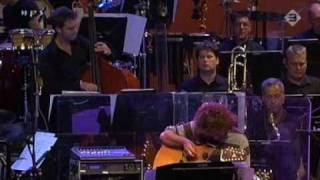 Pat Metheny amp Metropole Orchestra t6  North Sea Jazz Festival 2wmv [upl. by Des768]