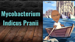 Mycobacterium Indicus Pranii  Leprosy Vaccine  PSM lecture  Community Medicine lecture  Arpits [upl. by Marquis]