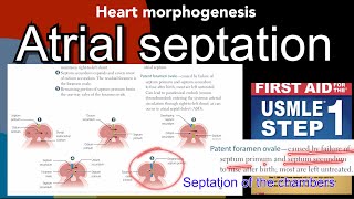 Septation of Chambers Atrial Sap Patent foramen ovale in HindiUrdu by first aid for USMLE step1 [upl. by Darrej848]