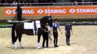 CHIO Aachen 2014  Kristina BoeMalte Möller Pas deux [upl. by Priestley131]