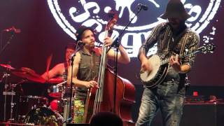 Steve n Seagulls  Thunderstruck  live [upl. by Bixler]