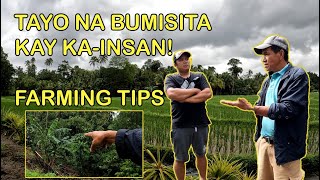 TAYO NA SA FARM NI KAINSAN ANTONY JABALLA FARMING TIPS [upl. by Chaves]