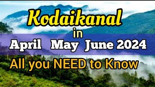 Kodaikanal All you NEED to Know  Best Sightseeing places  Budget Transport Timings Travel [upl. by Lucy247]