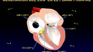 El electrocardiograma EKG [upl. by Terrance]