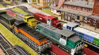 Roco collection ho histoire bb 63000 moba railroad diesellok CzimmhoWanntheim 102 [upl. by Atiuqel]