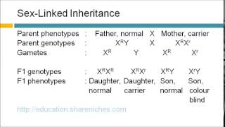 SexLinked Inheritance  Colour Blindness  Inheritance [upl. by Elacsap]