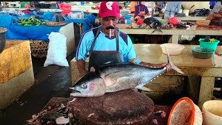 FISH CUTTING ASIA PASIFIK  MASTERING SKILL FISH CUTTER TUNA 2024 [upl. by Horwitz]