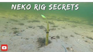 Neko Rig bass fishing [upl. by Izaak]