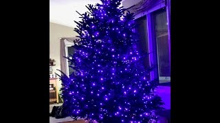 How to Install Christmas tree lights  purple 5mm [upl. by Leryt]