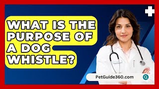 What Is The Purpose Of A Dog Whistle  PetGuide360com [upl. by Esilana925]