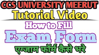 19112023  Exam Form कैसे भरें  Tutorial Video  SSV amp CCSU MEERUT NEWS TODAY [upl. by Barcus]