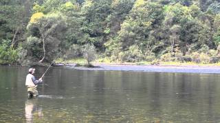 Fishing on Drina River Serbia  Fishflyru [upl. by Rosette]