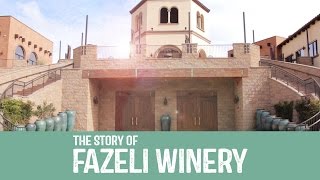 Fazeli Cellars Winery [upl. by Annaik422]