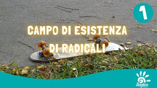 Campo di esistenza dei radicali  1 [upl. by Isis]