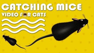 CAT GAMES  Catching Mice Entertainment Video for Cats to Watch  CAT amp DOG TV [upl. by Dyana]