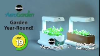 AeroGarden Sprout Time Lapse [upl. by Ariat]