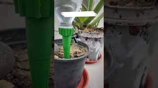 Cinagro Drip Irrigation kit Home Garden SelfWatering Spikes Automatic Plant Watering Device PrinzeE [upl. by Adnamra]