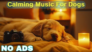 12 Hours of Healing Dog Music 🐶 Soothing Music for Deep Relaxation 🐕 Anti  Anxiety Videos No Ads [upl. by Ratcliff]