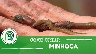 Aprenda a criar minhocas uma alternativa simples e rentável [upl. by Olen]