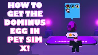 HOW TO GET TO THE DOMINUS EGG IN PET SIM X  Roblox Pet Simulator X [upl. by Nickola319]