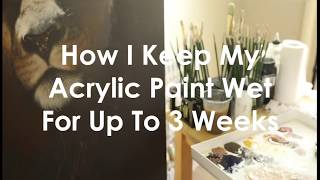 Keeping acrylic paint wet with Masterson StaWet Palette [upl. by Aistek992]