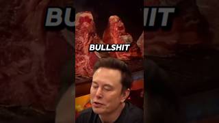 What is Carnivore Diet  Joe Rogan x Elon Musk [upl. by Lindsy297]