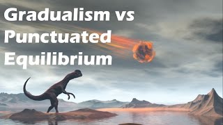 Gradualism vs Punctuated Equilibrium [upl. by Abra827]