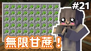 【Minecraft】120 全自動無限甘蔗＆竹子機 ❗❗  Kaiの生存之旅 21  全字幕 [upl. by Sinned]