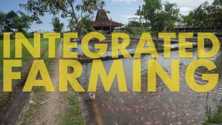 Concept Agriculture Integrated Farming [upl. by Savart]