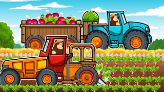 Farm Works And Tractor Dewulf Harvesting Beetroot amp Redbeet  Vehicles Farm [upl. by Beutler845]