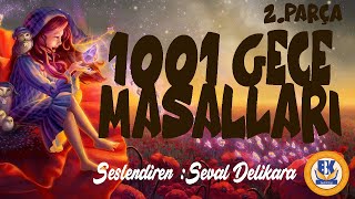 Binbir Gece Masalları  Cilt 1 Sesli Kitap 2Parça Seval Delikara [upl. by Lindie]