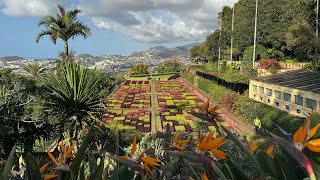 Jardim Botânico da Madeira  A Walk Around in 4k madeira funchal portugal travelvideo [upl. by Aicak194]