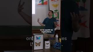 🦋 Pourquoi appelleton les papillons des quotLépidoptèresquot  papillon morpho insectes shorts [upl. by Ahsrat]