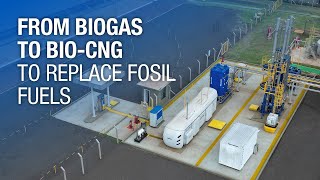 From biogas to BIOCNG to replace fosil fuels  Adecoagro  Galileo Technologies [upl. by Correy]