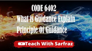 Code6402 Question 02 What is guidance explain principle of guidance [upl. by Tana243]