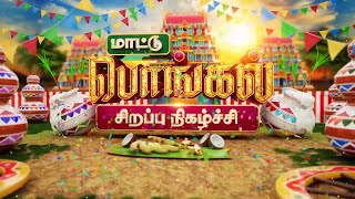 PONGAL THIRUVILA PROMO  Mattu Pongal  16 January 2024  1000AM  Pongal  Tamil Star Tv Salem [upl. by Erelia]