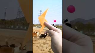 Origami Ninja blade balloon popper  shorts [upl. by Brock]