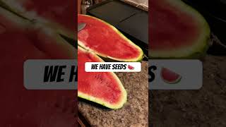 This is HOME GROWN w the SEEDS 🍉 growfood growfood gardenlife seeds shorts [upl. by Idalla]