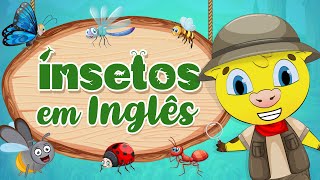 Insetos em Inglês  Nomes de Insetos em Inglês [upl. by Bowler]