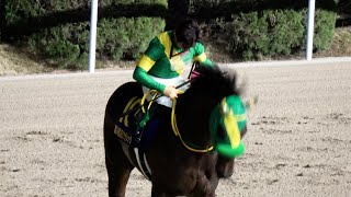 【JBCクラシック2024】感極まる川田将雅 地元の佐賀GⅠを勝ち 観客へヘルメットを取って一礼ウィルソンテソーロも一緒にお辞儀 現地映像 [upl. by Anialad]