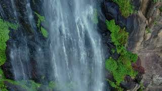 Morans Falls Trail Walk OReillys  Lamington National Park [upl. by Ariahaj875]