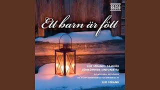 Sankta Lucia Santa Lucia Sung in Swedish arr L Strand [upl. by Eeleak]