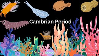 What If You Lived in the Cambrian Period [upl. by Gratianna]