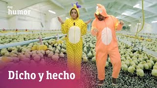 Las mejores coreos con politonos del móvil  Dicho y hecho  RTVE Humor [upl. by Chanda]